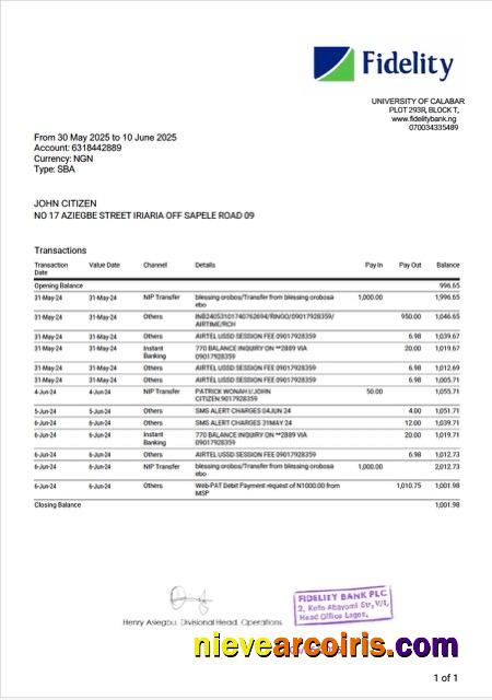 Nigerienia Fidelity bank statement Word and PDF, version 2